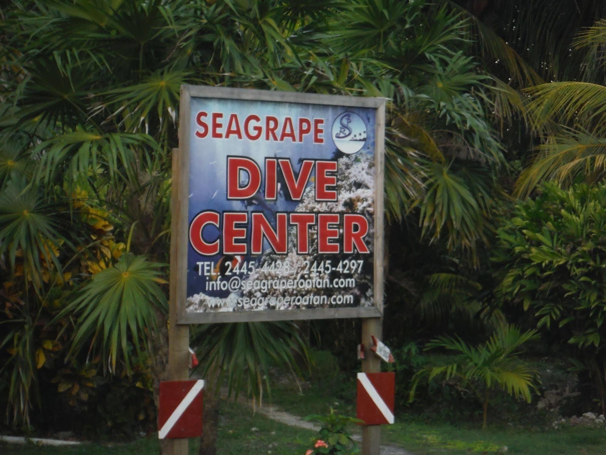 Seagrape Plantation Resort & Dive Center West End Zewnętrze zdjęcie